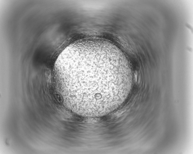 X0000093751251200710301118