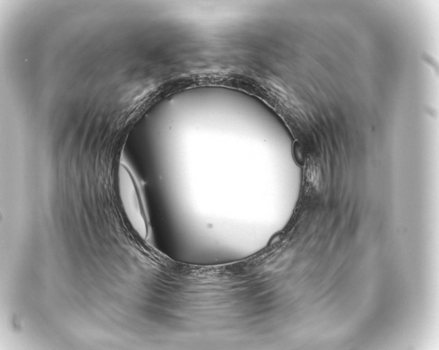 X0000093751252200710301118