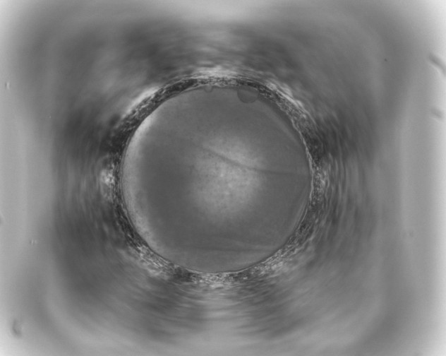 X0000093751254200710301118