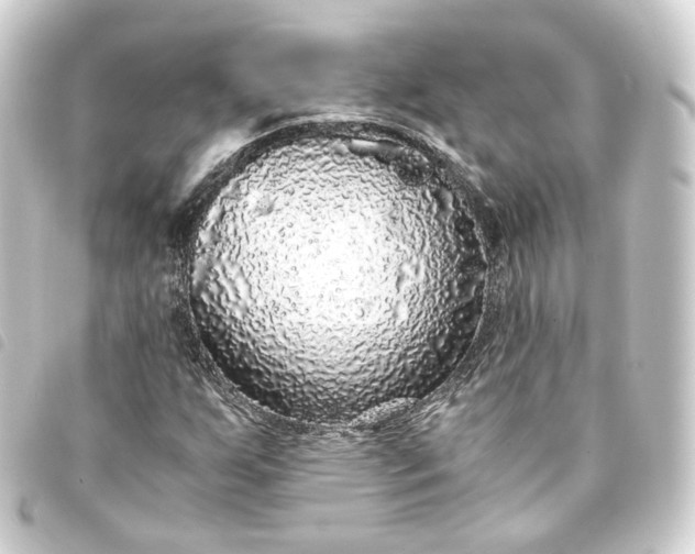 X0000093751255200710301118