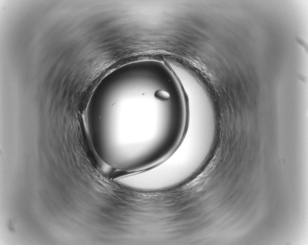 X0000093751257200710301118
