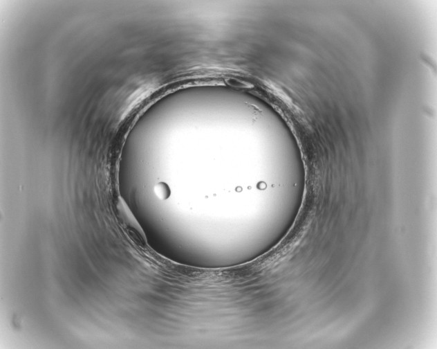 X0000093751259200710301118