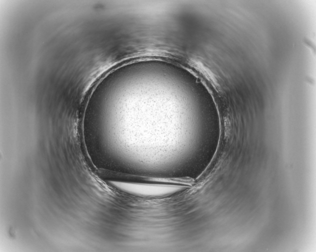 X0000093751260200710301118