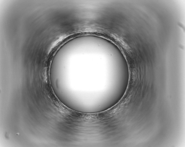 X0000093751262200710301118
