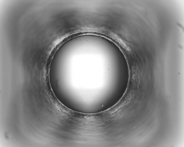 X0000093751264200710301117