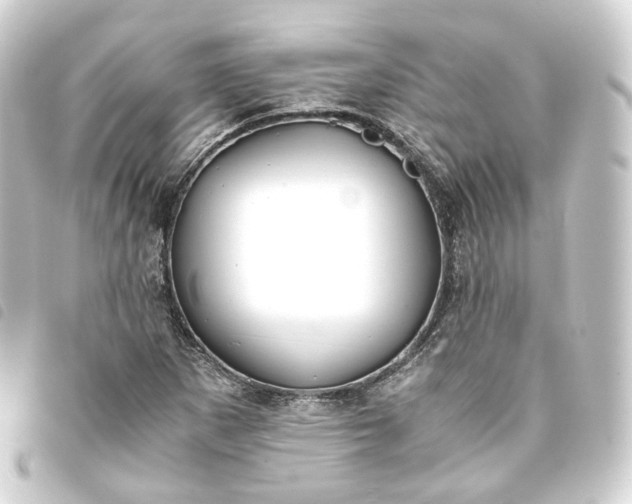 X0000093751265200710301117