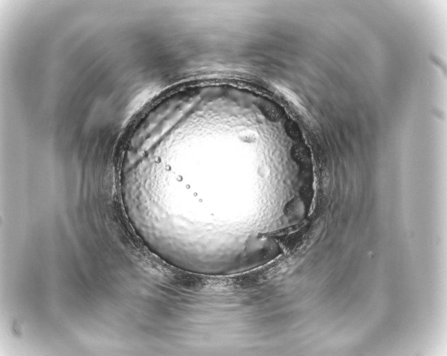 X0000093751267200710301117