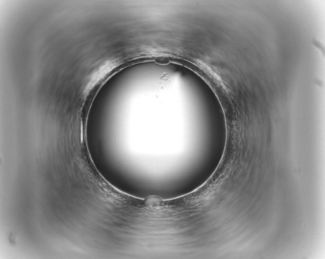 X0000093751269200710301117