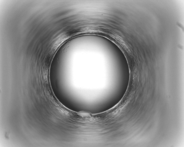 X0000093751273200710301117