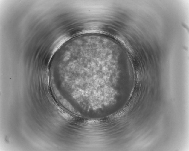 X0000093751274200710301117