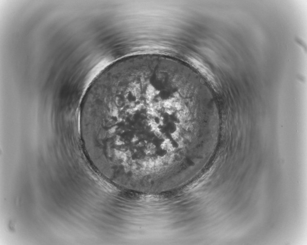 X0000093751275200710301117