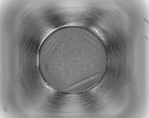 X0000093751276200710301117