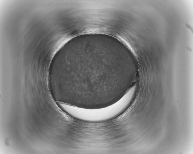 X0000093751277200710301117