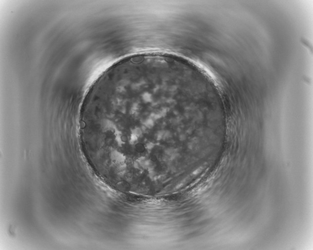 X0000093751279200710301117