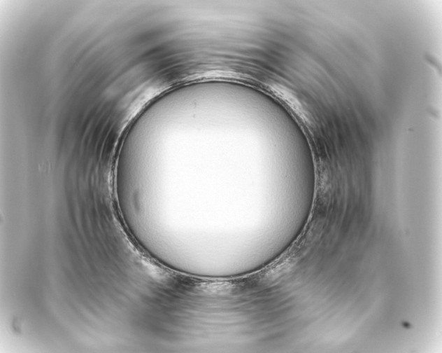 X0000093751282200710301117
