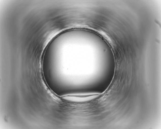 X0000093751287200710301117