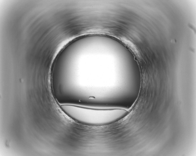 X0000093751288200710301117