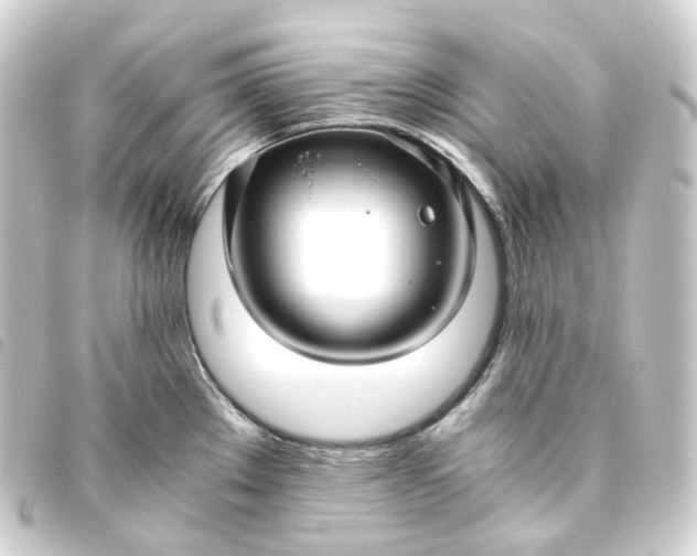 X0000093751289200710301117