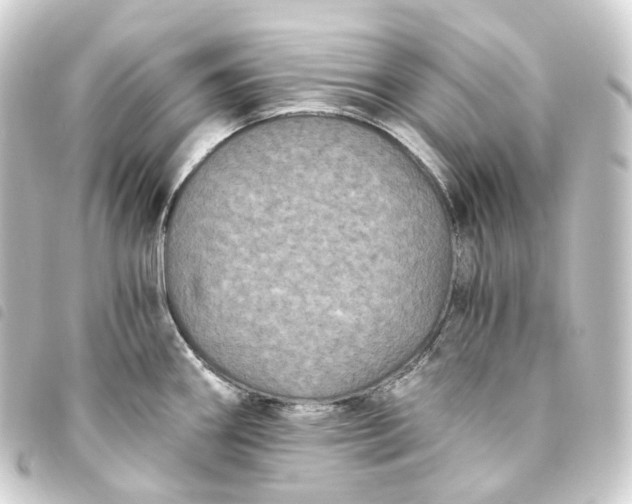 X0000093751290200710301117