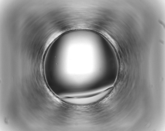 X0000093751293200710301117