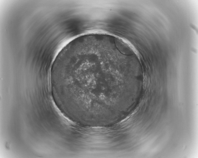 X0000093751295200710301117