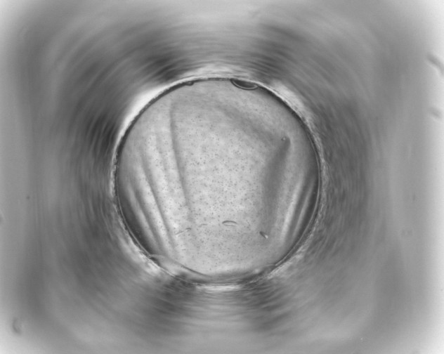 X0000093751296200710301117