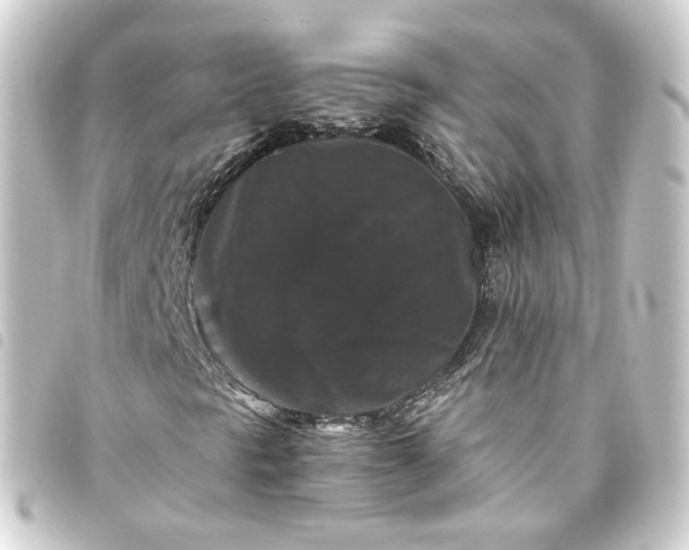 X0000093751297200710301117