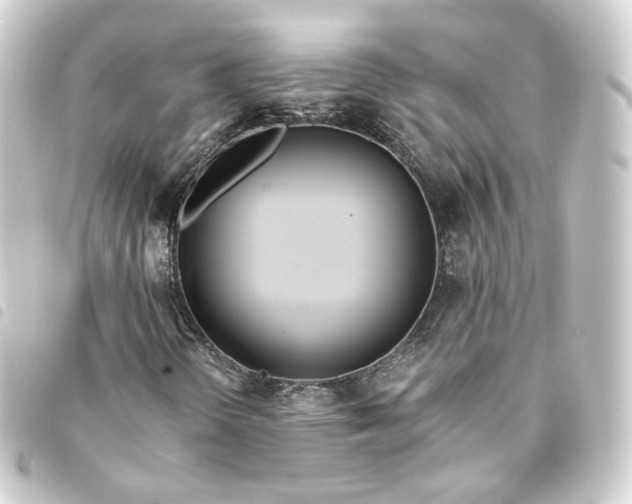 X0000093751298200710301117