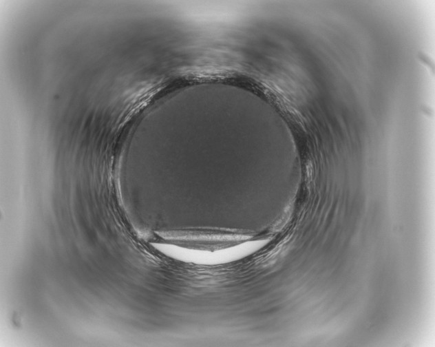 X0000093751300200710301117