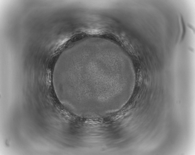 X0000093751301200710301117