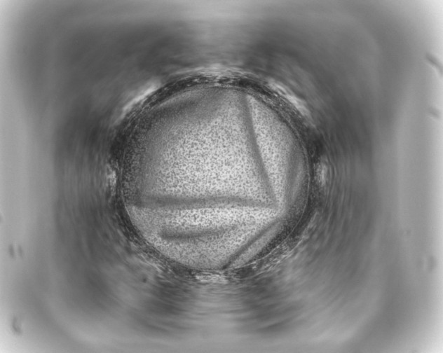 X0000093751302200710301117