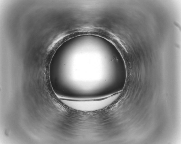 X0000093751304200710301117