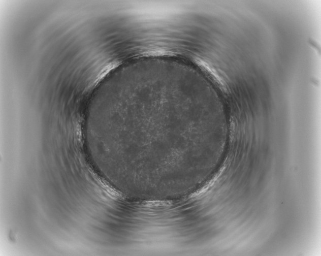 X0000093751305200710301117