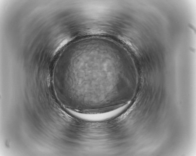X0000093751306200710301117