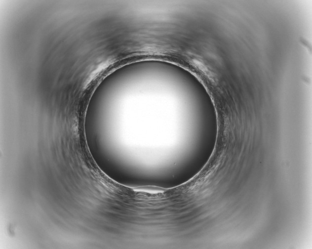 X0000093751307200710301117