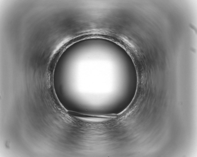 X0000093751310200710301117