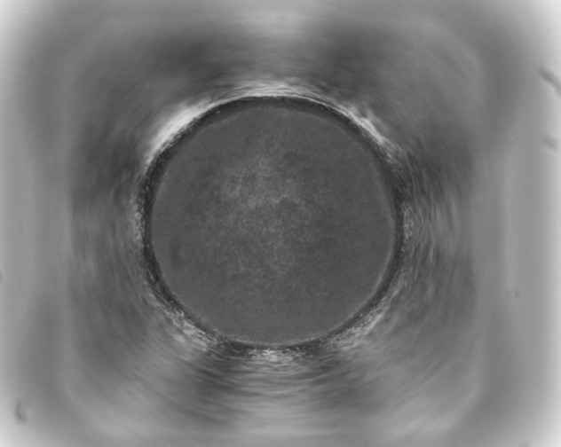 X0000093751311200710301117