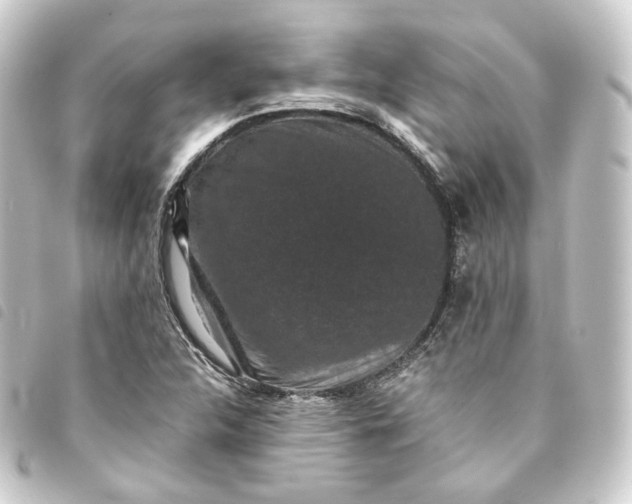 X0000093751312200710301117