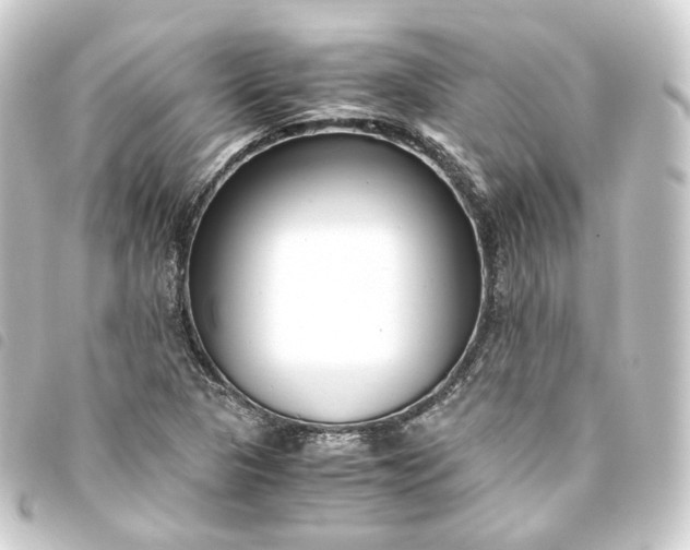 X0000093751313200710301117