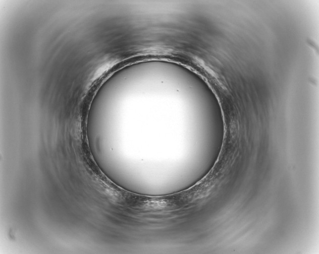 X0000093751315200710301117