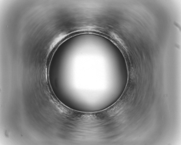 X0000093751320200710301117