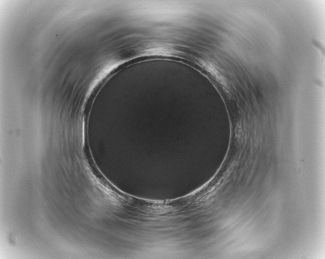 X0000093751323200710301117