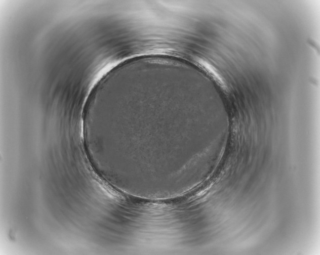 X0000093751324200710301117