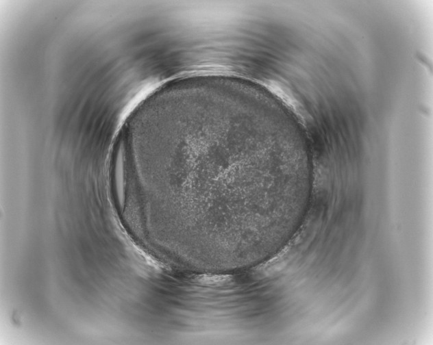 X0000093751325200710301117