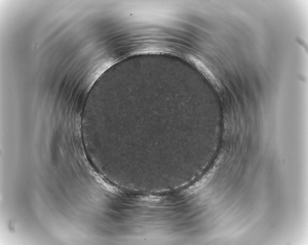X0000093751329200710301117