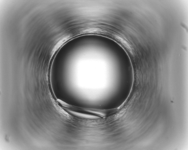 X0000093751330200710301117