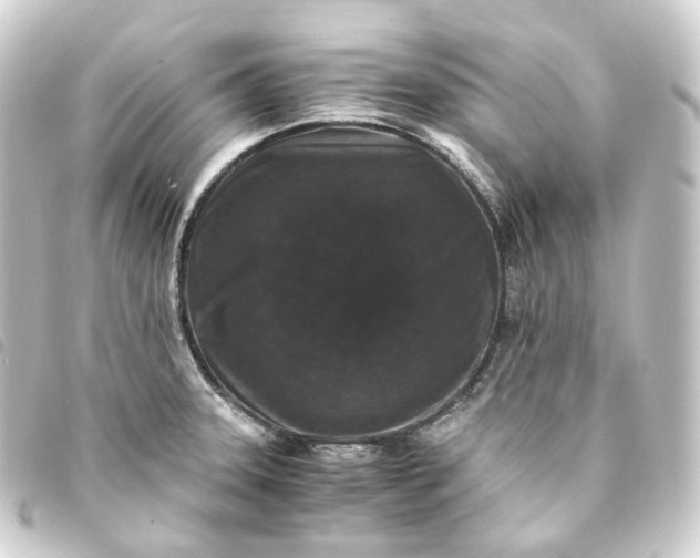 X0000093751331200710301117