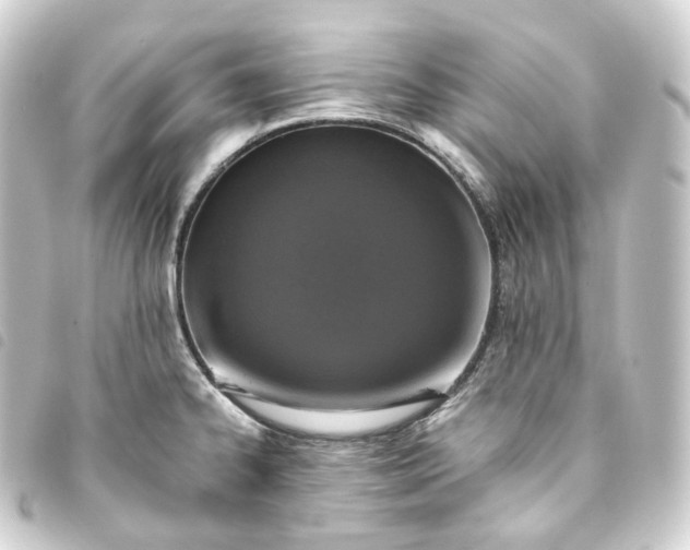 X0000093751334200710301117