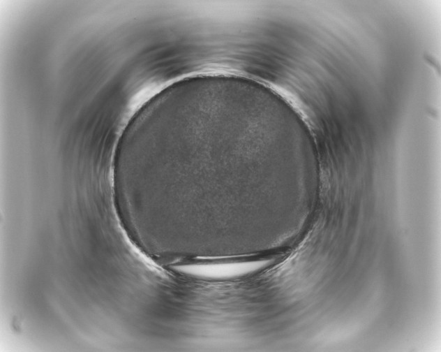 X0000093751335200710301117