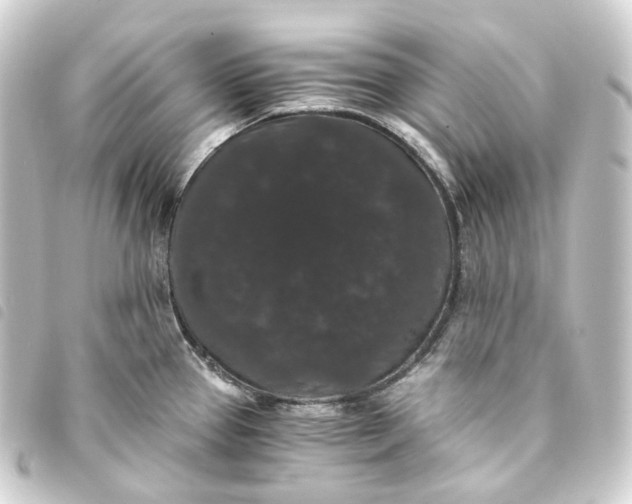 X0000093751337200710301117